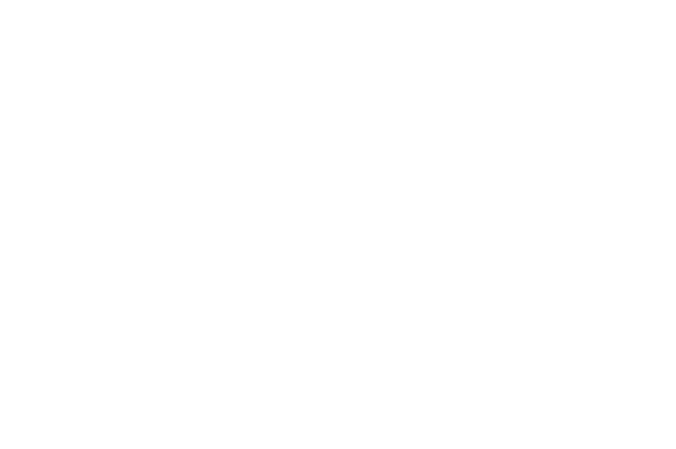 RAY logo (white)